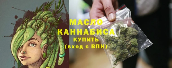 мдпв Инта