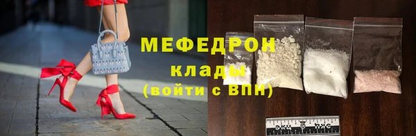 мдпв Инта
