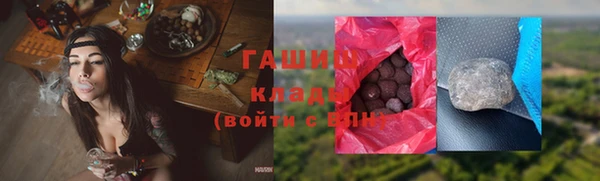 мдпв Инта