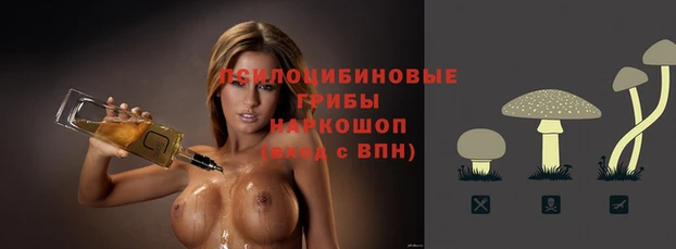 МДПВ Иннополис