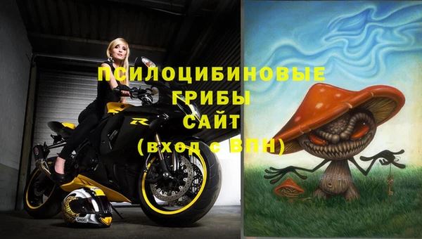мдпв Инта