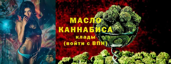 мдпв Инта