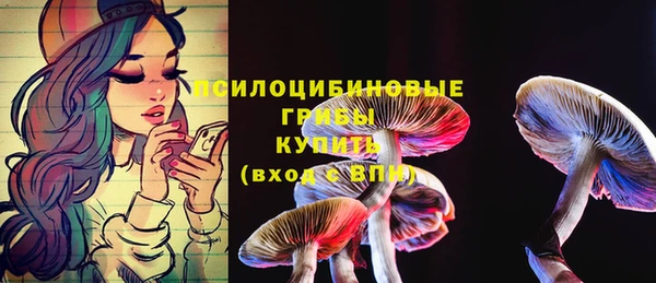 МДПВ Иннополис