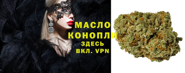 мдпв Инта