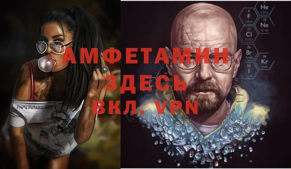 мдпв Инта
