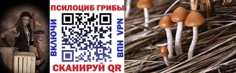 Псилоцибиновые грибы ЛСД  Каменка 